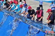 今日黄历2025年全国水生生物同步增殖放流活动在福建举行