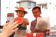今日黄历（乡村行·看振兴）江西安福“小西瓜”撬动乡村共富“大支点”