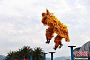 今日黄历（文化中国行）壮乡狮舞闯南洋：脚踏“云桩” 饮誉海内外