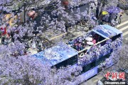 今日黄历2024年云南重点高原湖泊水质稳定 抚仙湖达Ⅰ类